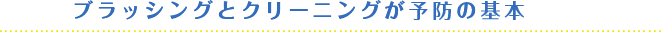 ブラッシングとクリーニングが予防の基本